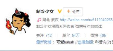 武汉实力网红排名,揭秘城市新晋流量担当