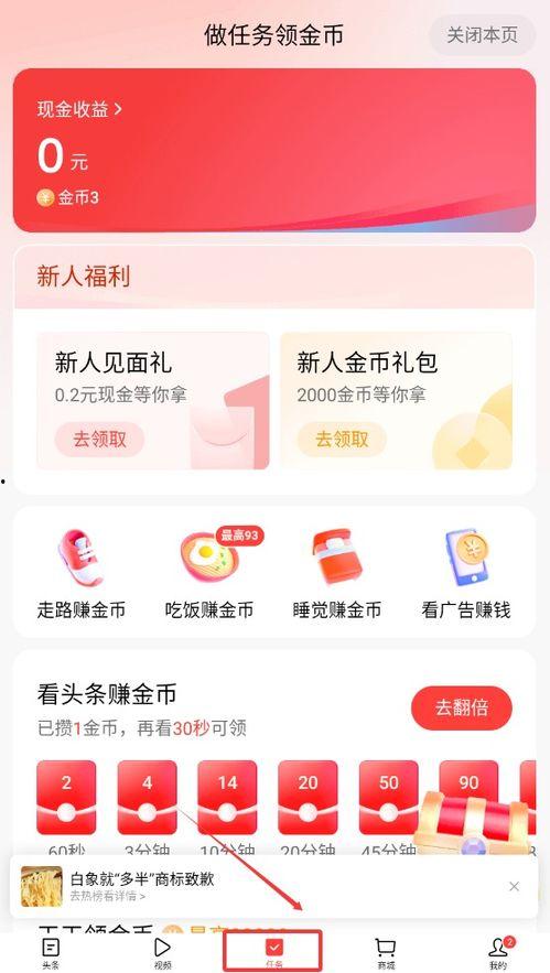 今日头条如何看下载任务,高效便捷的个性化内容获取体验