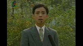 胡老师吃葵瓜,胡老师与美味葵瓜的邂逅之旅