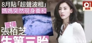 张柏芝更新爆料视频在线,背后真相令人震惊