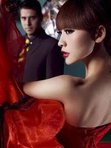 四川明星代言费用,明星效应背后的经济真相