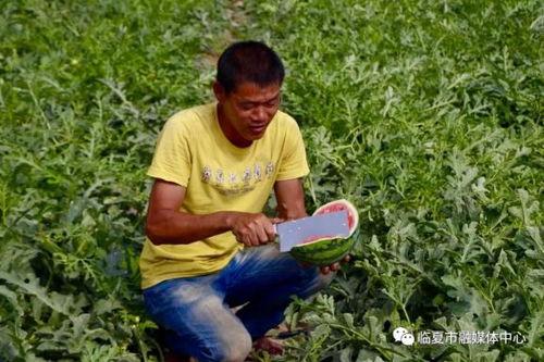 临夏最新吃瓜新闻事件视频,视频曝光引网友热议！”