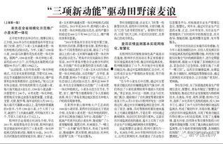 麦浪头条,聚焦农业科技，探索乡村振兴新路径